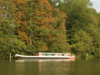 DSCN1072 (Medium) (Custom)