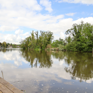 d989c600-5981-4332-82b7-7f6aaf730422